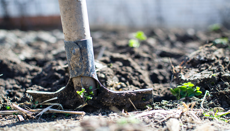 Shovel in Garden | Hobbies | Benefits by Design