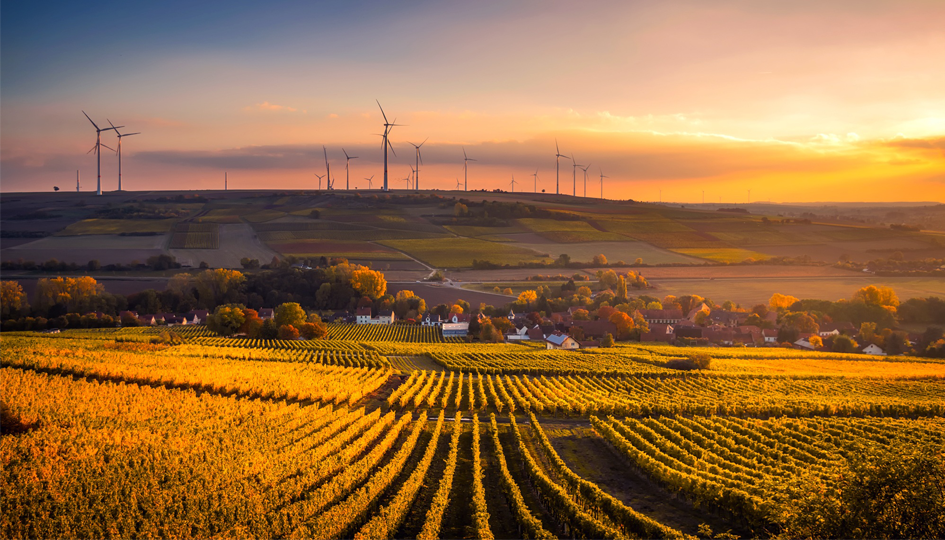 Windmills in a Yellow Field | Workplace Sustainability | Benefits by Design