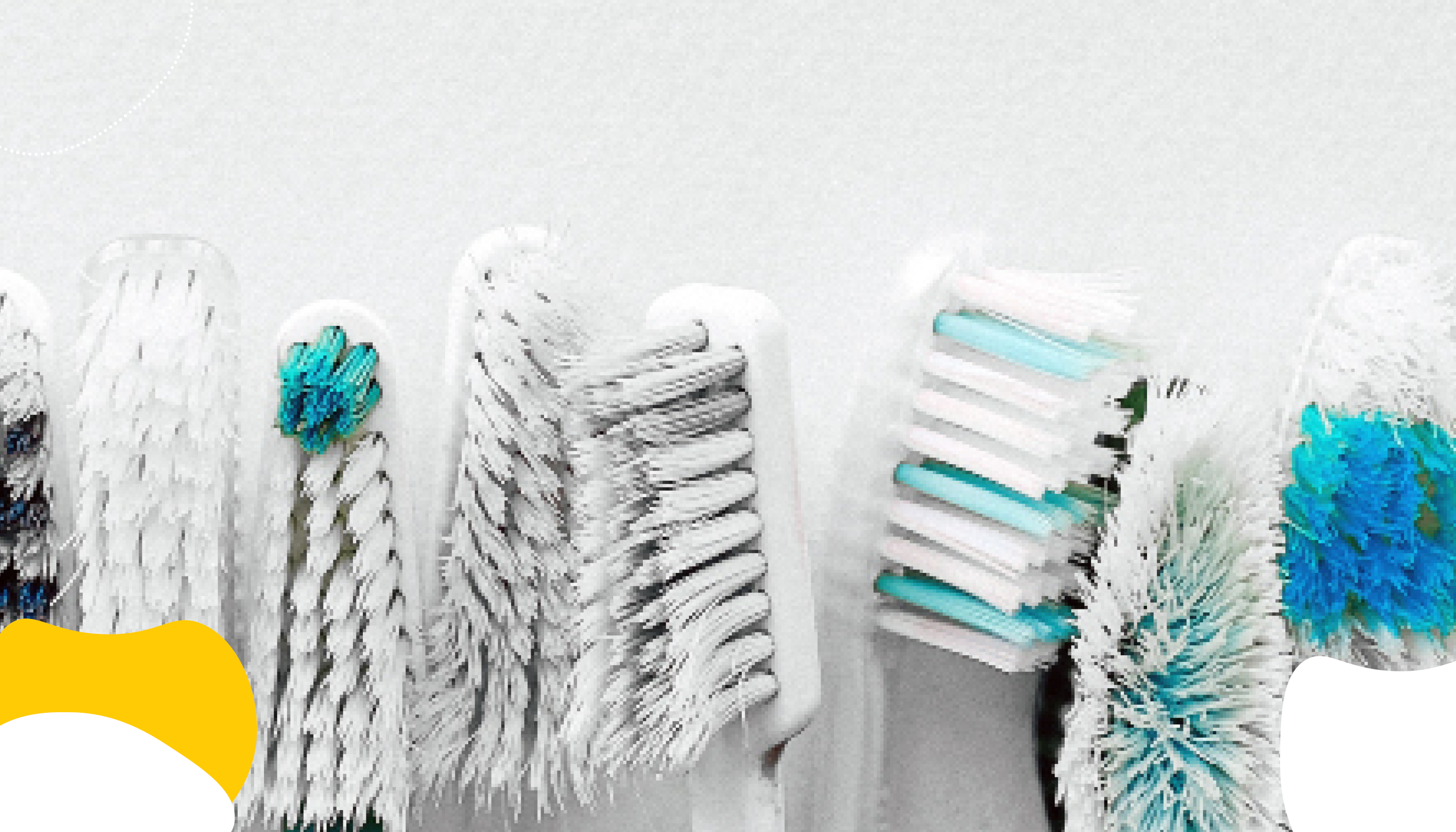 Toothbrushes lined up in a row | Dental Insurance | Benefits by Design